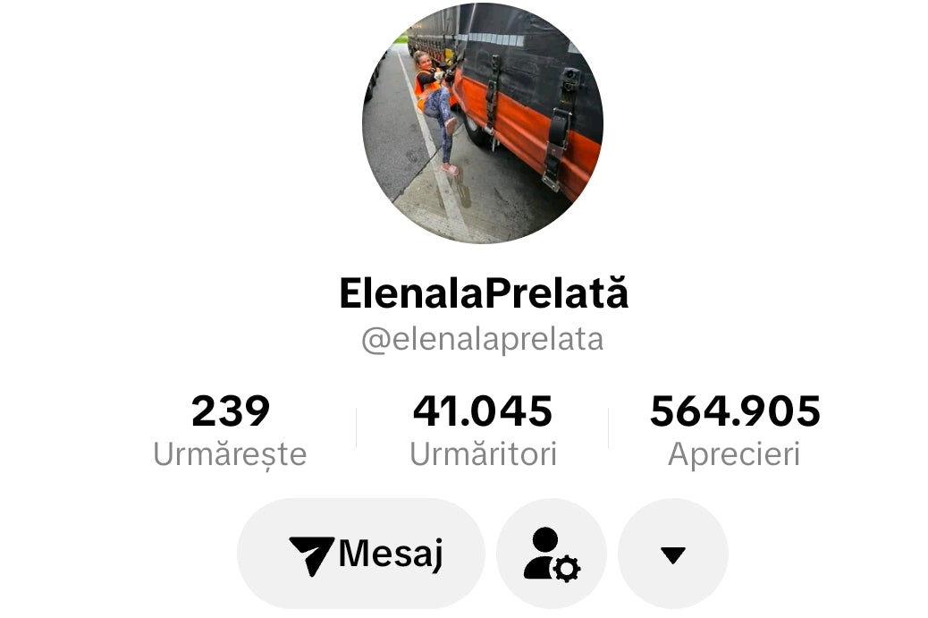 Promovare pe tiktok Elena la prelata